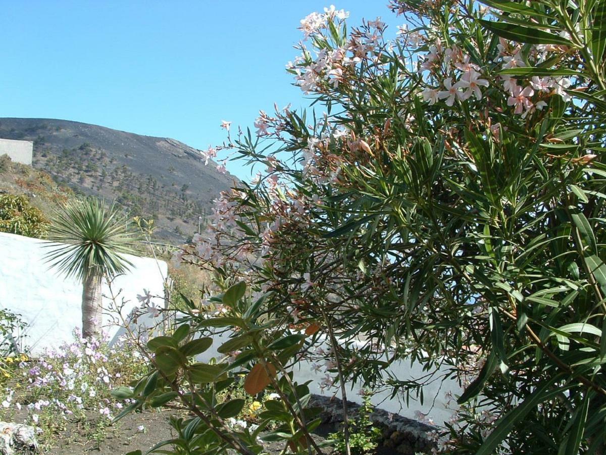 Casa Los Vinedos B Fuencaliente de la Palma Exterior photo